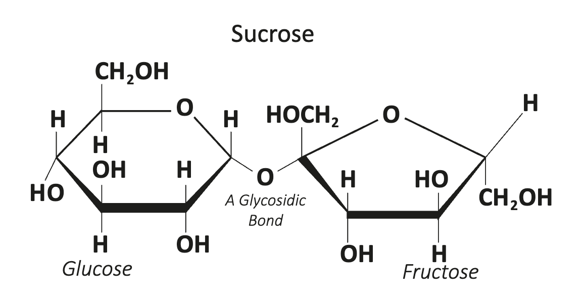 Figure: Sucrose molecule