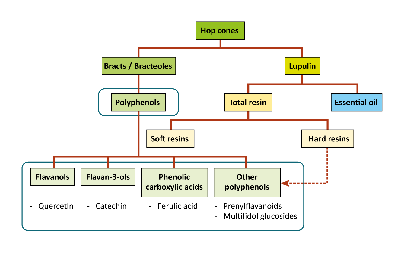 Figure: Hop components