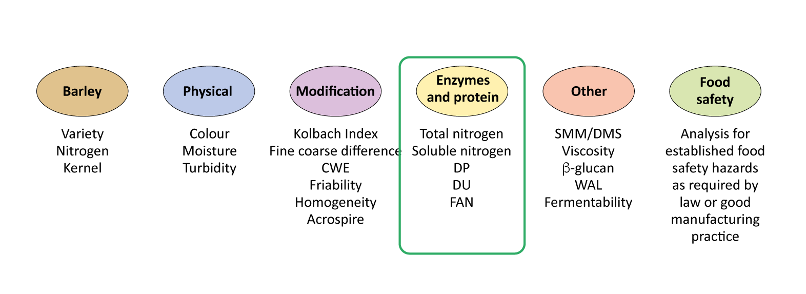 Malt Analyses - Enzymes