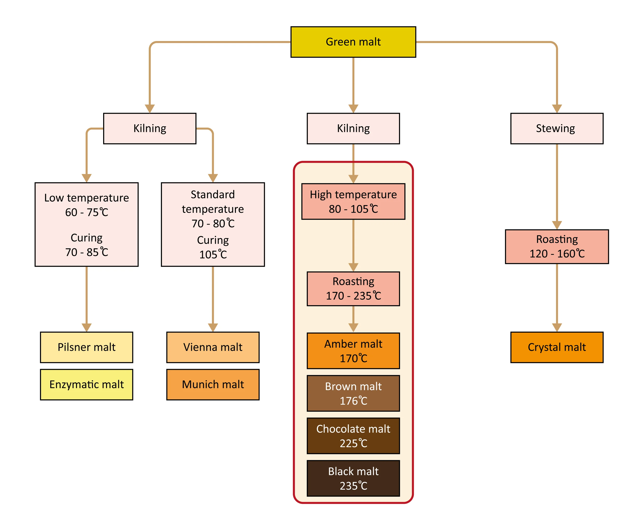 Figure: Production of roasted malts through kilning and roasting