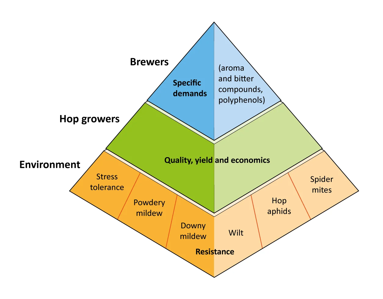 Figure: Important hop breeding goals