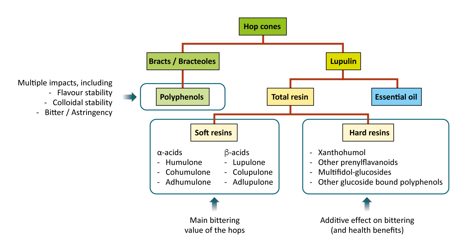 Figure: Hop components