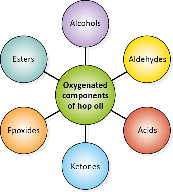Figure: Groups of compounds found in the oxygenated fraction in hop oil