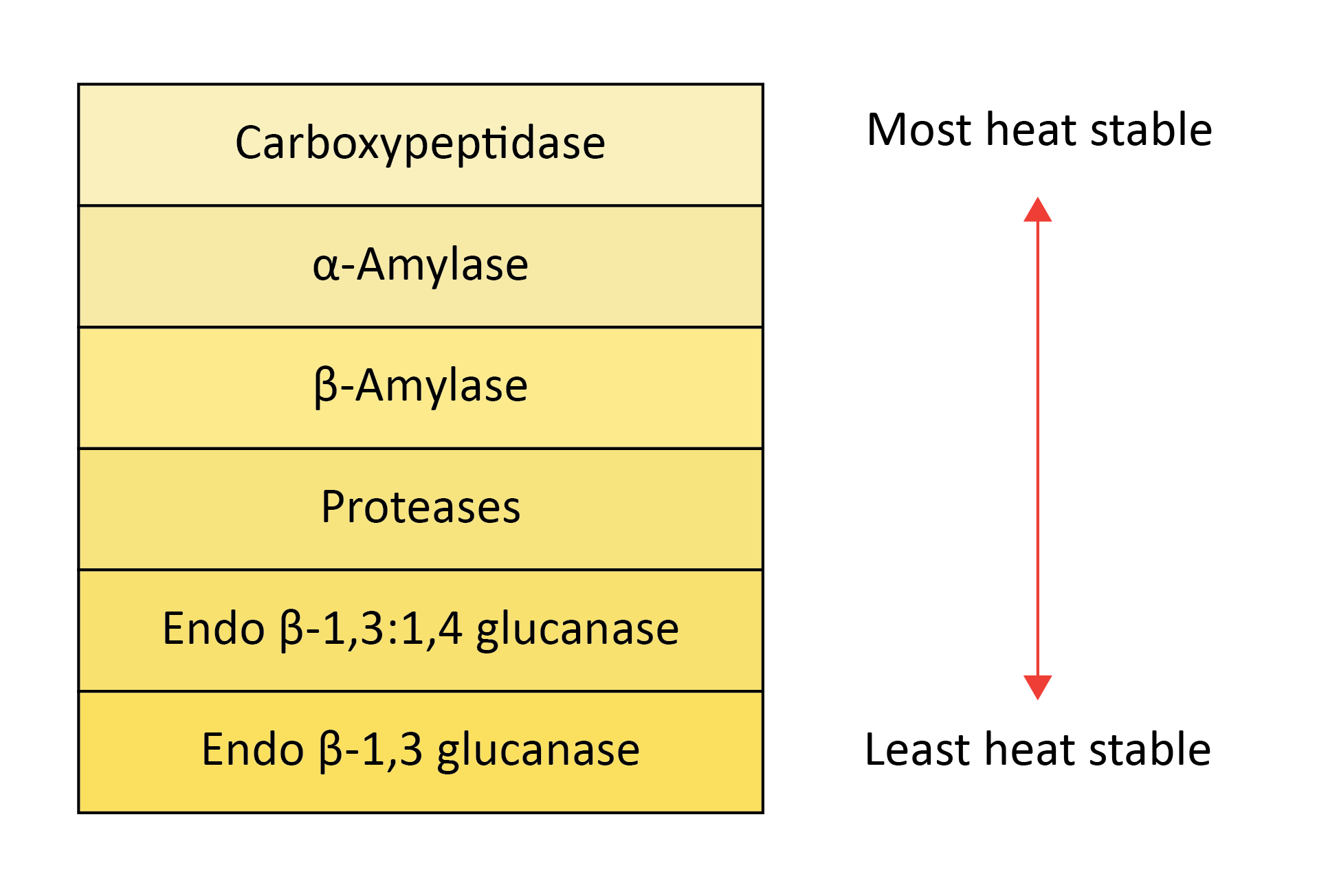 Heat stability of malt enzymes during kilning and mashing