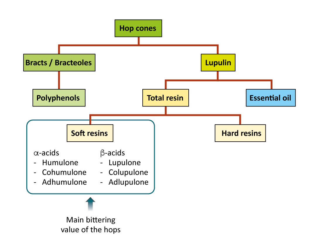Figure: Hop components