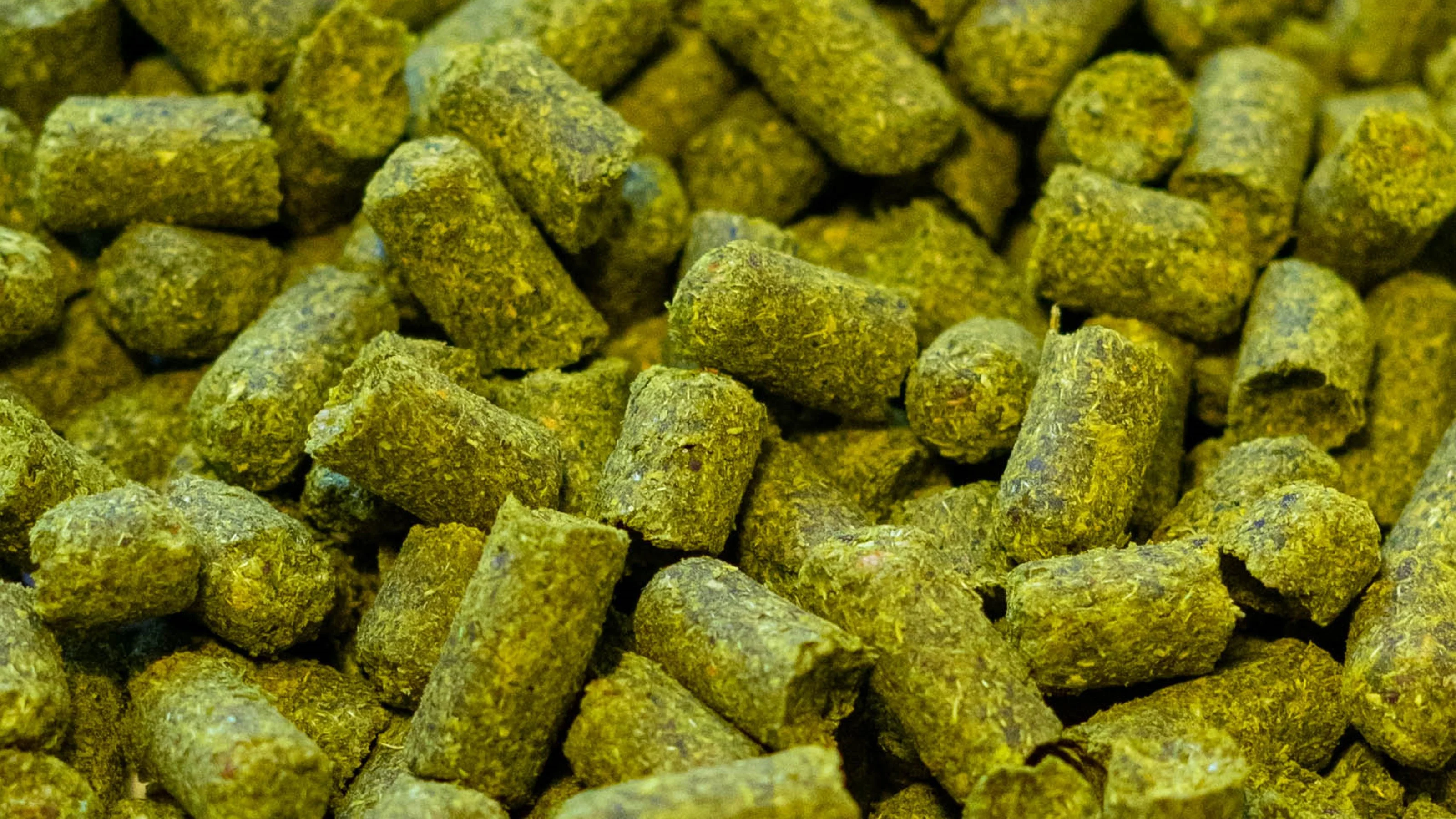 Hop