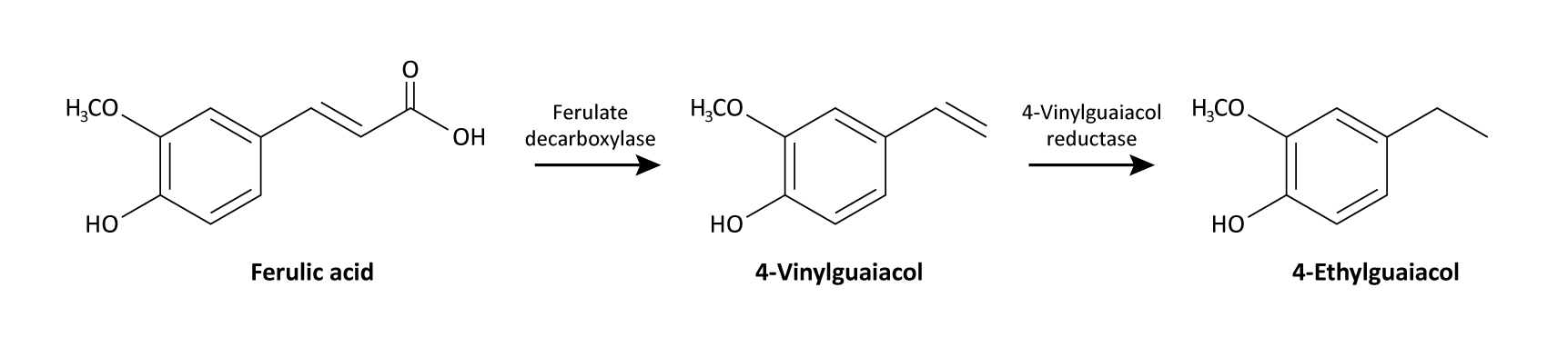 Figure: Formation of 4-VG through decarboxylation of ferulic acid