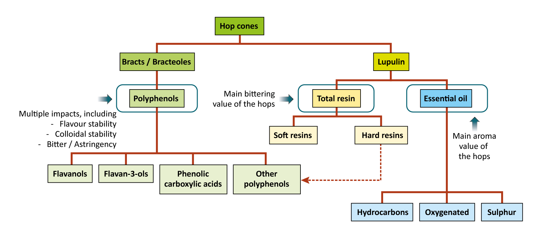 Figure: Hop components