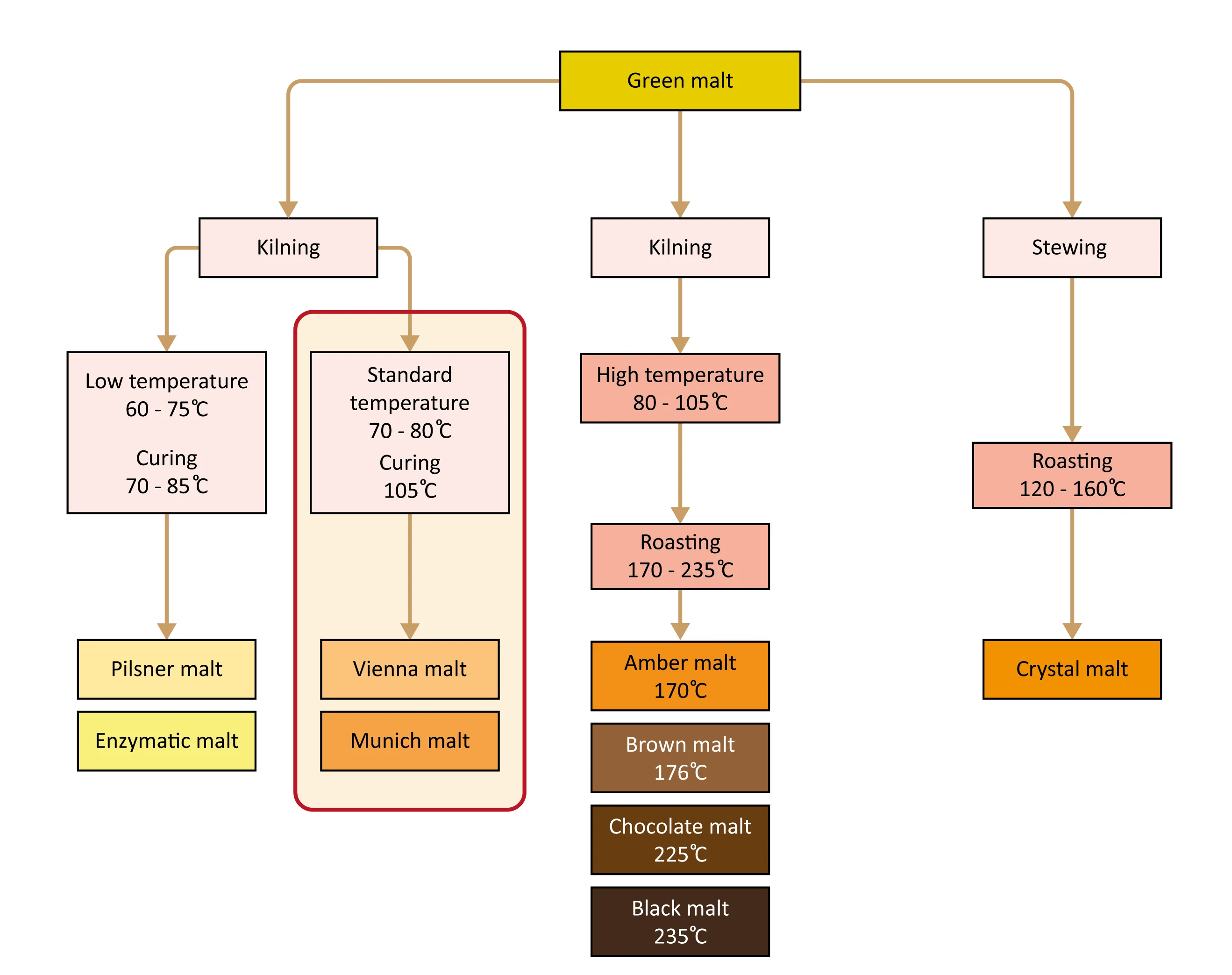 Figure: Production of speciality malts through kilning