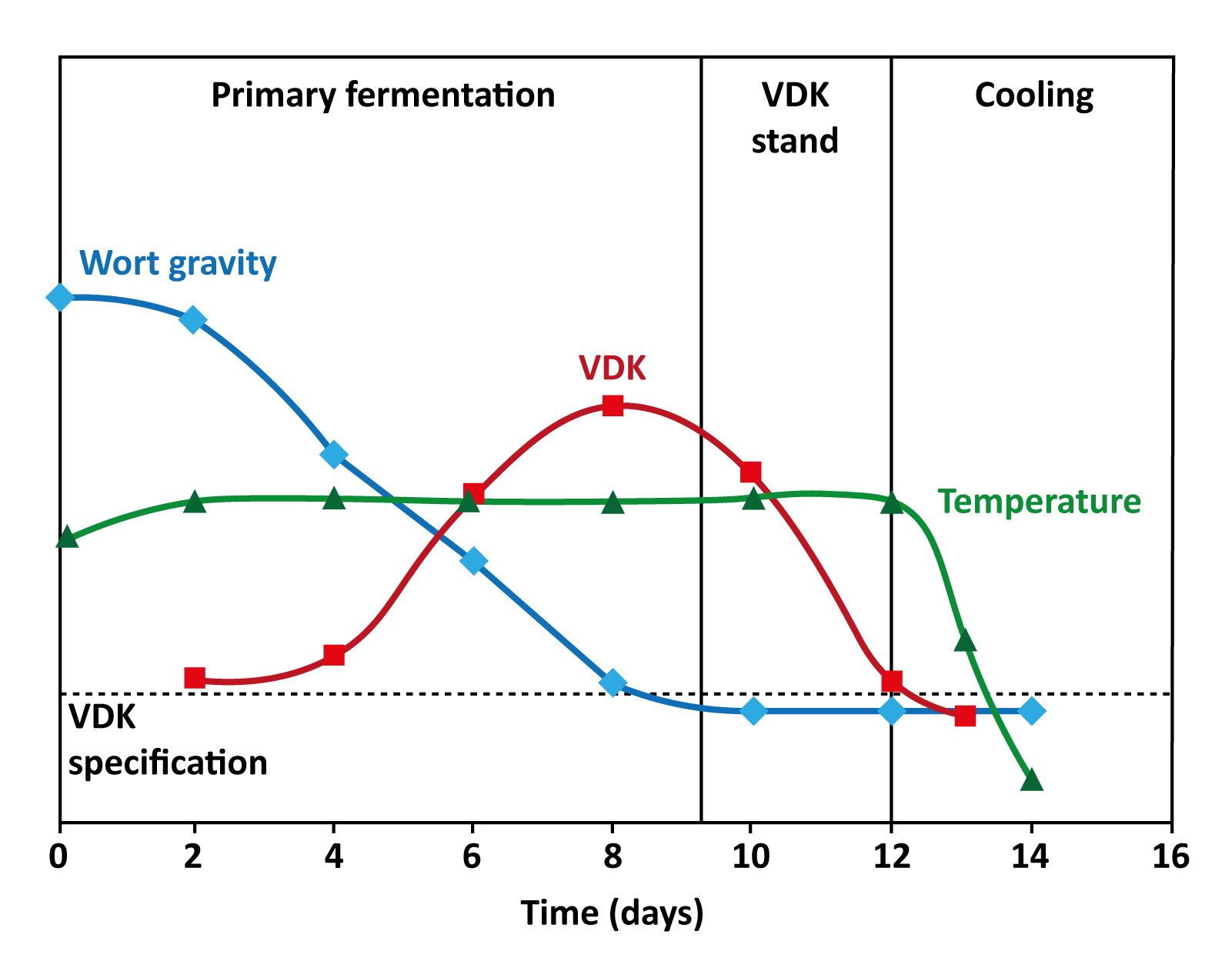 Figure: Stages in a rapid lager-fermentation process