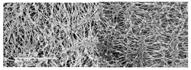 Figure: A filter matrix and its pores that trap solid particles or bacteria