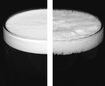 Figure: Bubble size and resulting foam from N2 and CO<sub>2</sub>