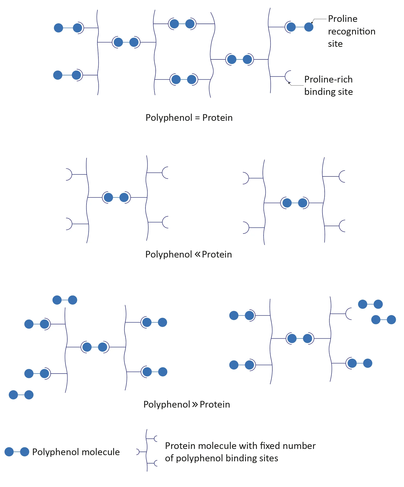 Figure: Effect of protein and polyphenol concentrations on haze formation