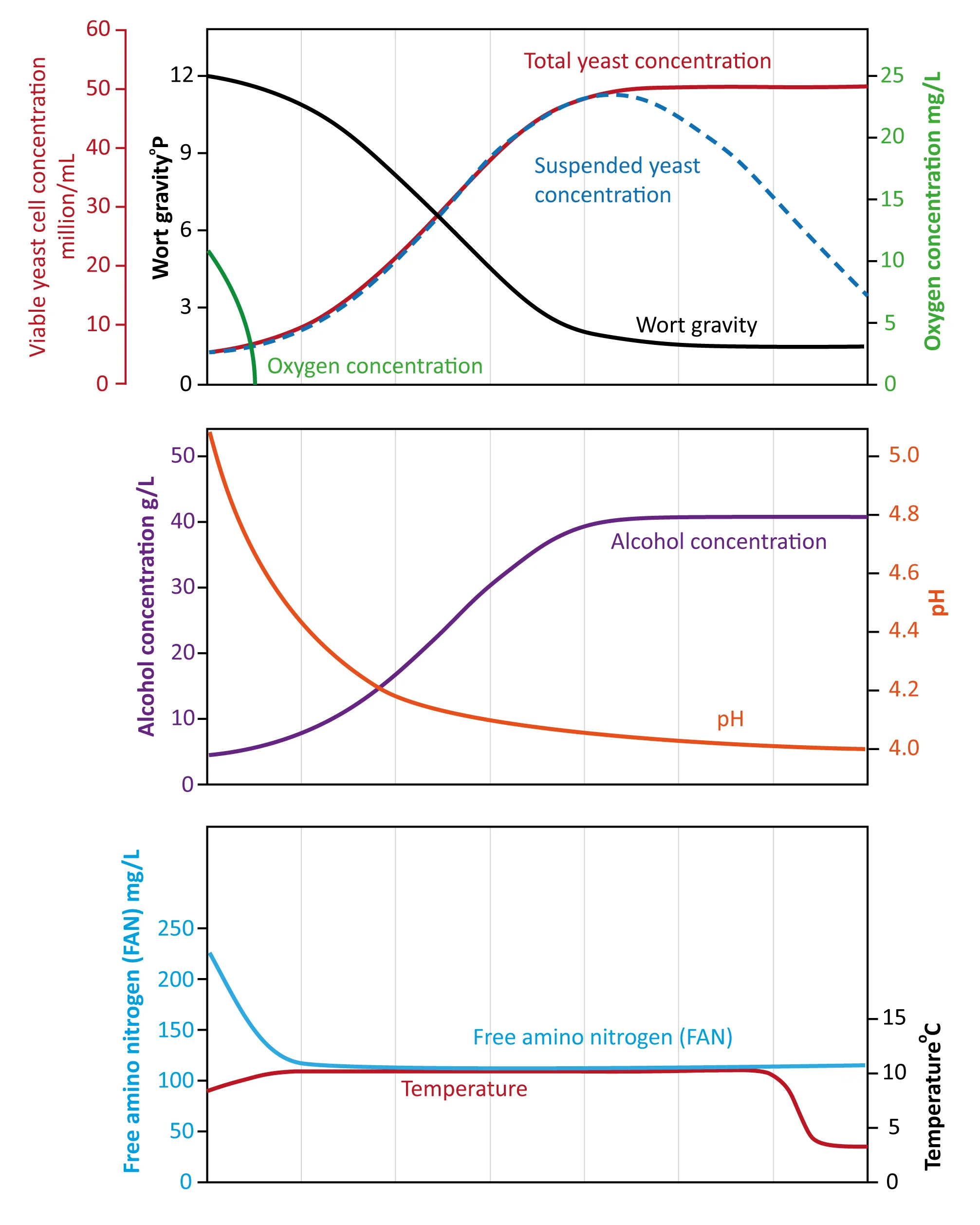 Figure: Patterns of changes seen in a typical brewery fermentation