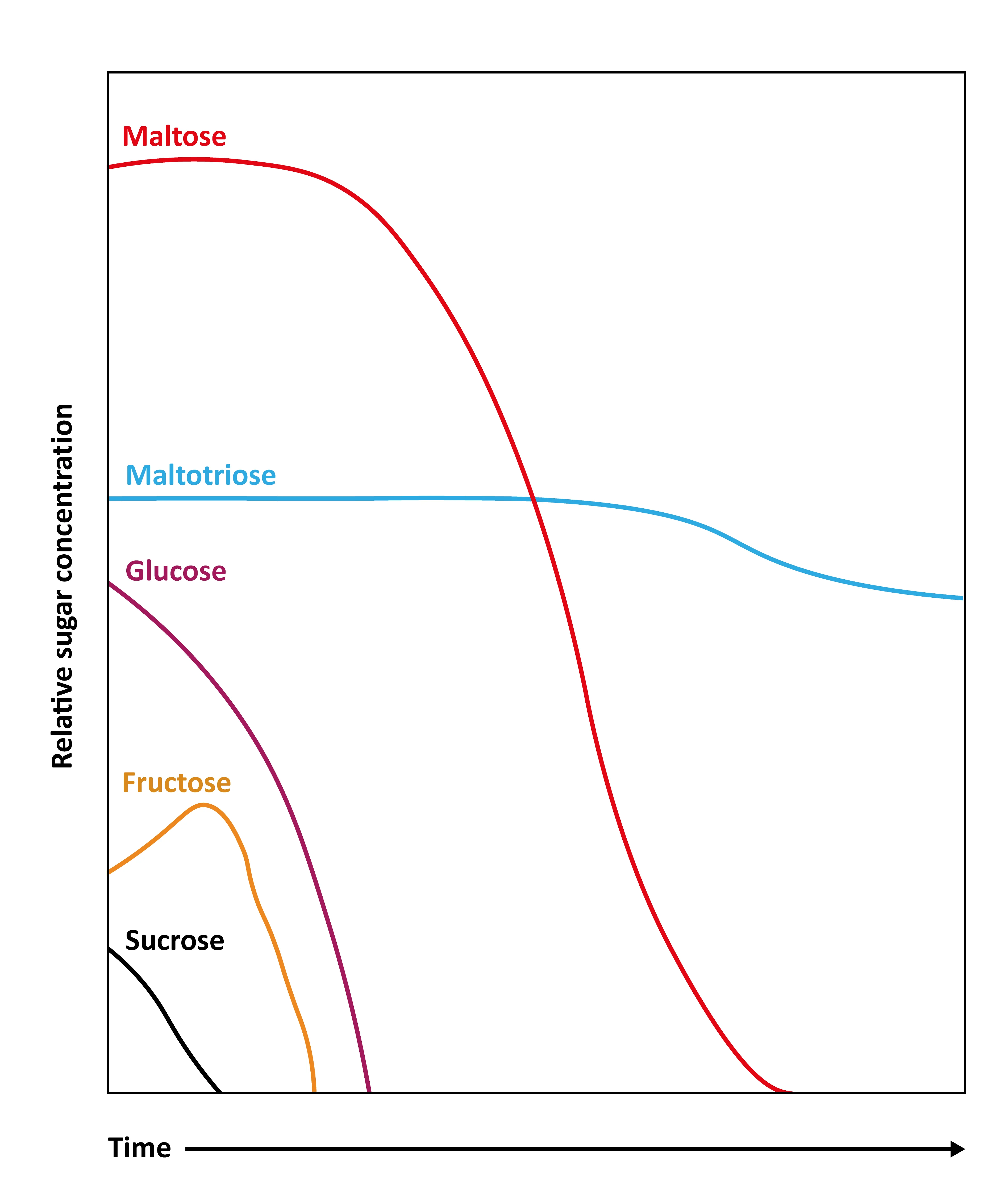 Figure: Patterns of sugar uptake by a lager yeast during fermentation