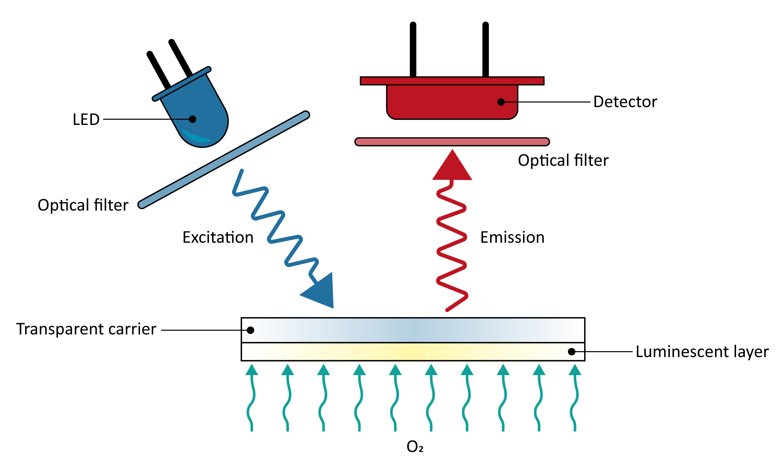 Figure: The optical oxygen sensor 