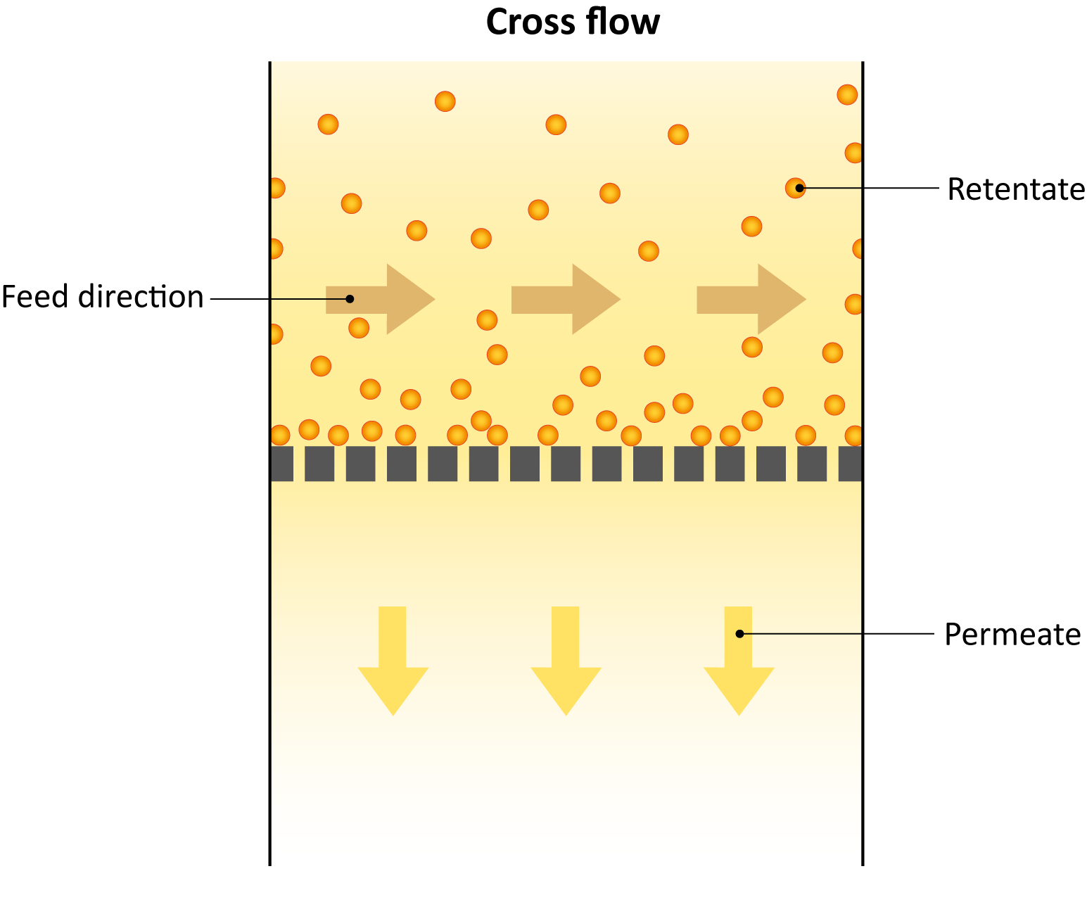 Figure: Principle of cross-flow filtration