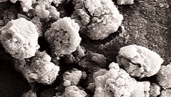 Figure: Silica hydrogel particles