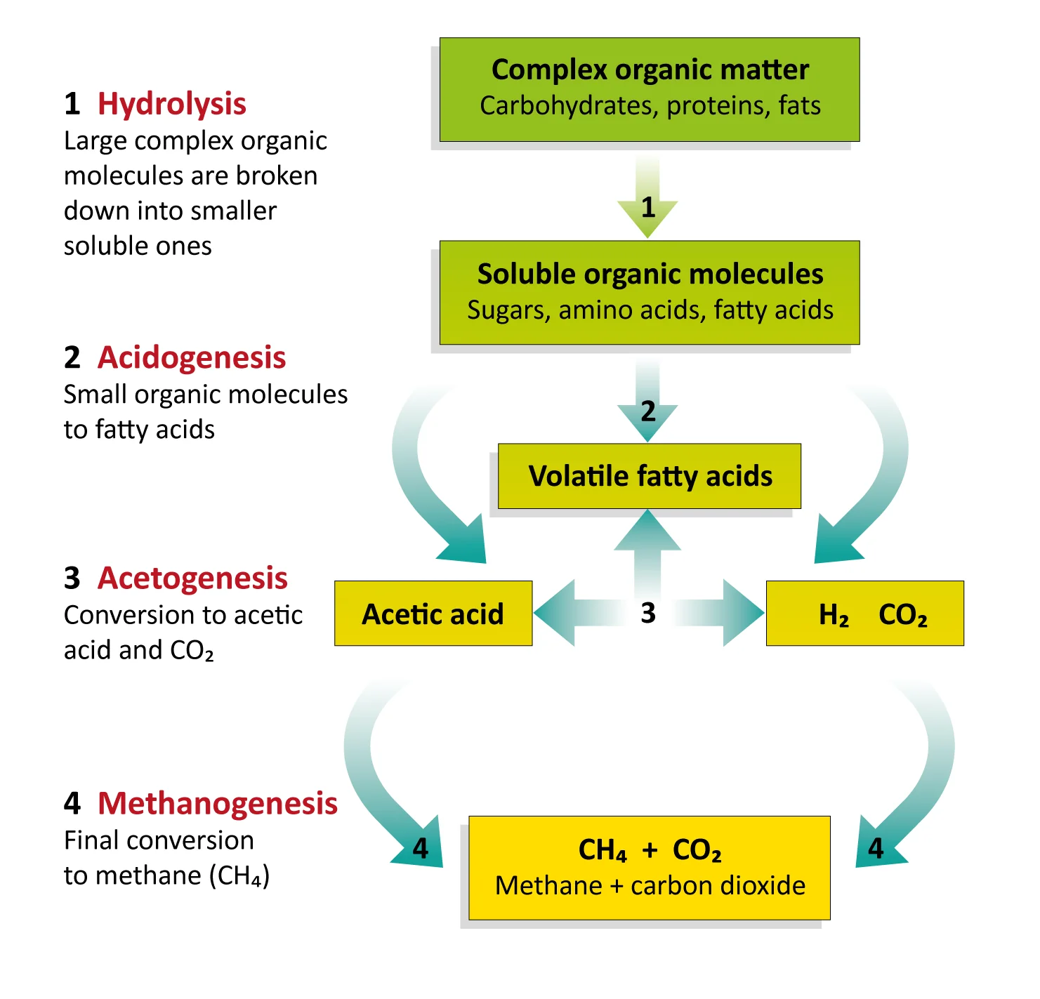 Figure: Biochemistry of anaerobic digestion